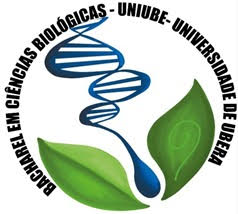 Logotipo da Comunidade